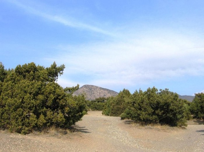 Новый Свет. Крым. Крым, Красивое, Природа, Длиннопост, Картинка с текстом, Интересное, Путешествия, Отдых