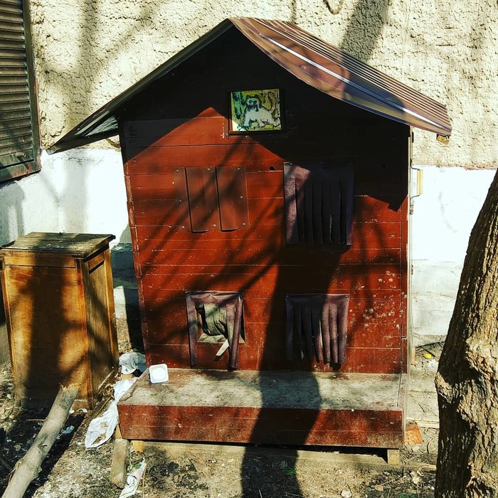 cat house - My, cat, cat house, Moscow