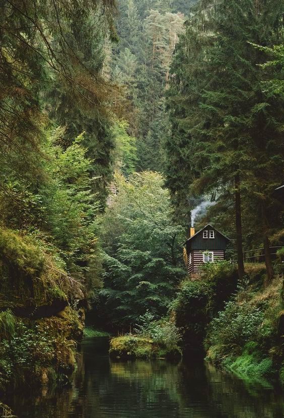 House in the woods - Forest, House, beauty of nature, Nature, Landscape, The photo