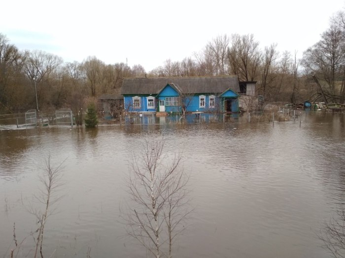 They wanted a house by the river. - My, House, Потоп, Village, Spring, Karma