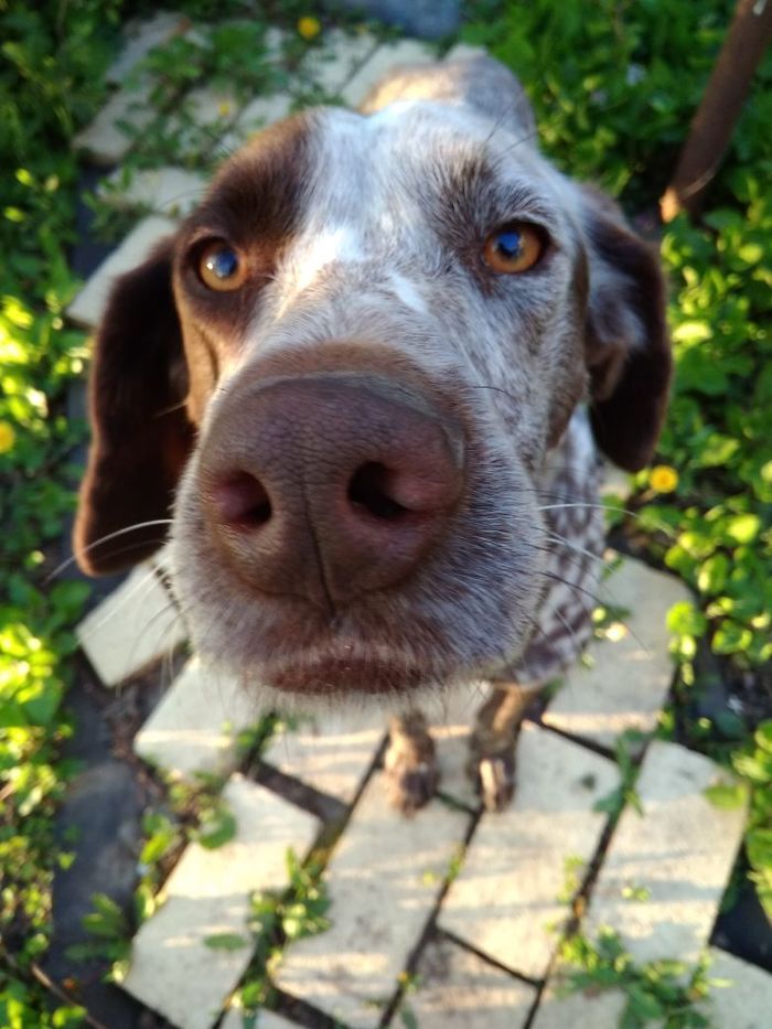 Ты это заходи,если чё