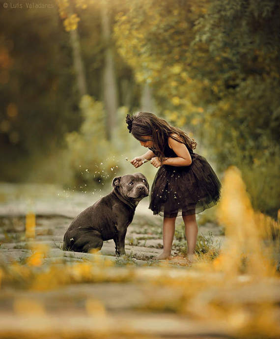 ."Начинающая фея или первое колдовство комом