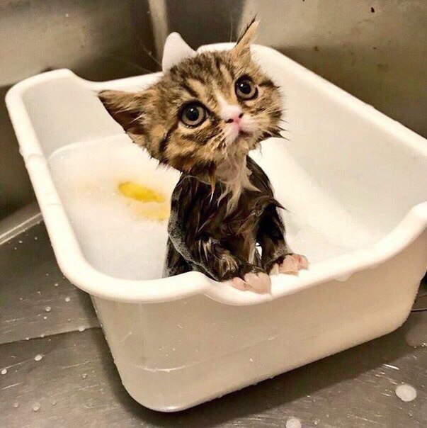 Ну и кто ты после этого?