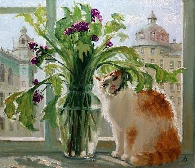 котенок какает 3 раза в день