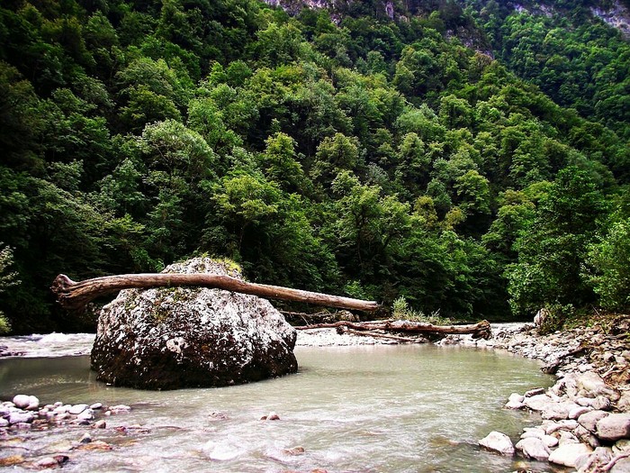 Abkhazia - My, Abkhazia, The photo, Lake Ritsa, Nature, Longpost