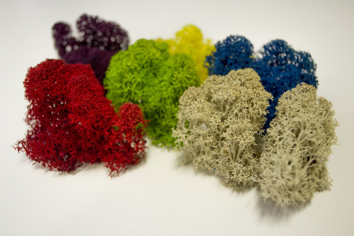 ����������������� ��� � ���������. ������, ���, ��������, ��������, ������ ���������, ����������