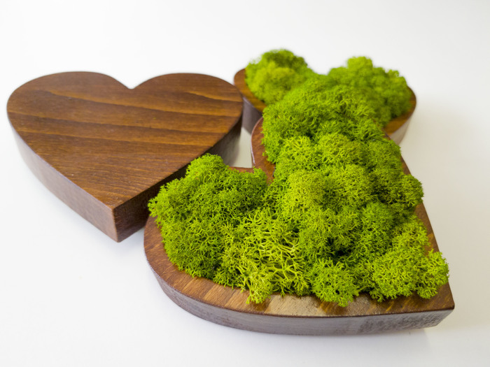 ����������������� ��� � ���������. ������, ���, ��������, ��������, ������ ���������, ����������