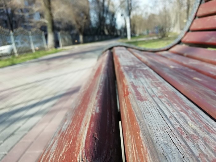 Bench - Tree, Bench