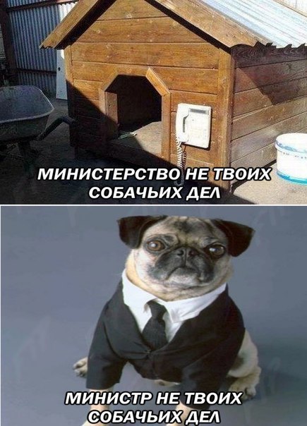 Фрэнк в России - Frank, Maninblack, ВКонтакте