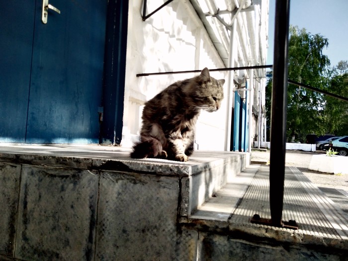 ��� ������� ������ � ��� ������