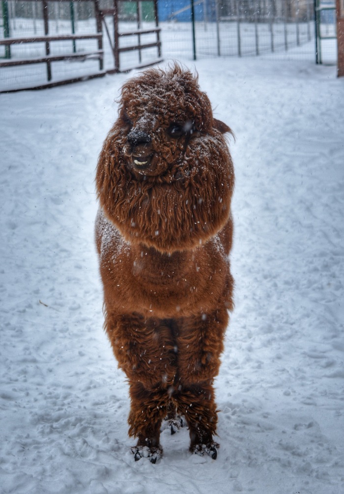  ,       &quot; &quot;.