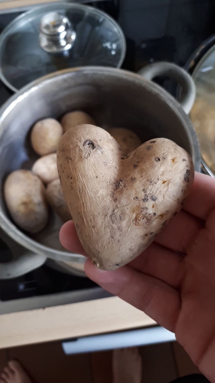 heart bag - 9GAG, Potato