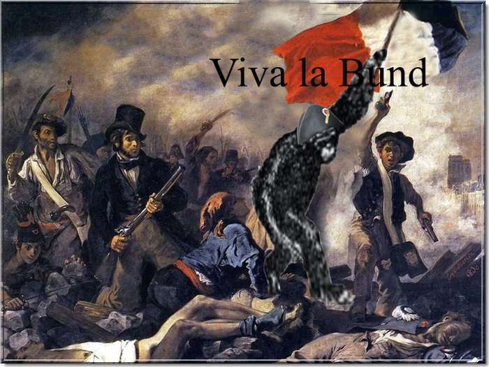 Viva la Bund - My, Riot, Memes, French Revolution
