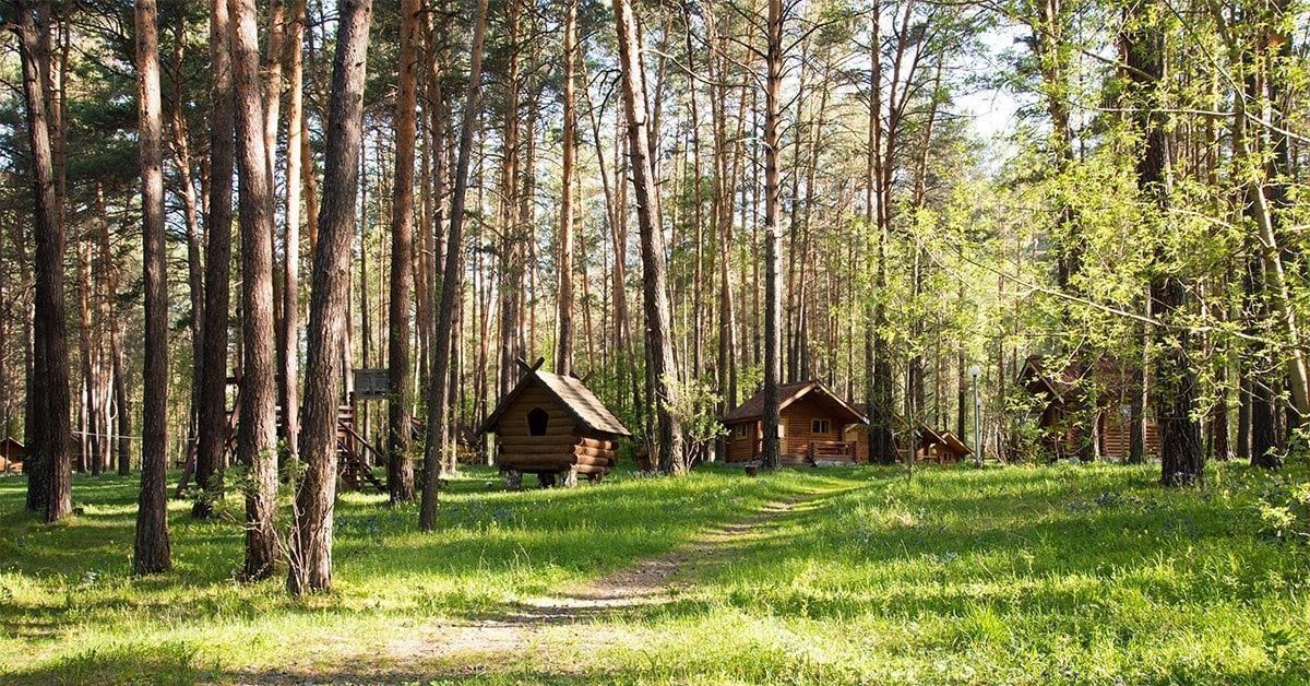 База отдыха лес. База отдыха в лес Киров. Турбаза в лесу. Туристическая база в лесу. Красивая база отдыха в лесу.