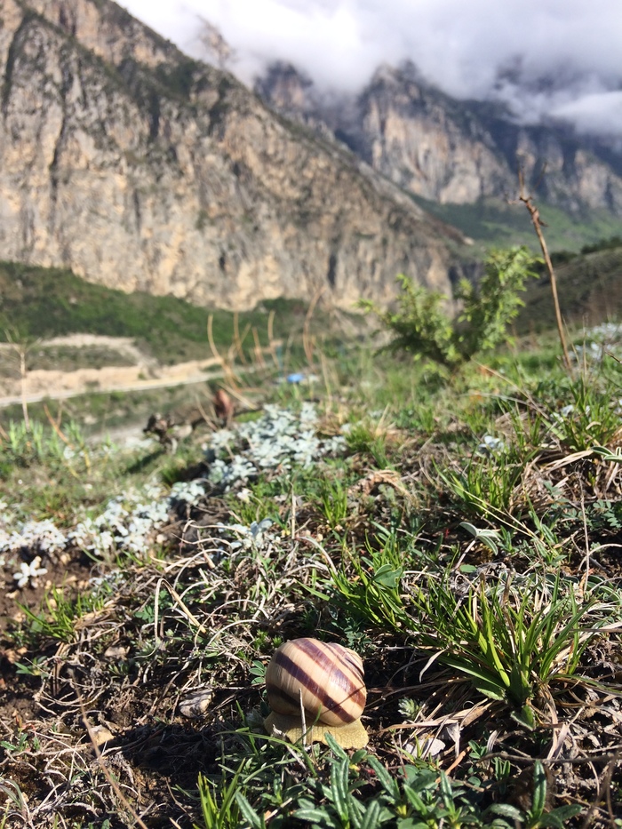 Republic of North Ossetia-Alania, above the village of Zintsar, Alagir gorge - My, Nature, North Caucasus, North Ossetia Alania, The mountains, Caucasus, Clouds, Russia, Longpost