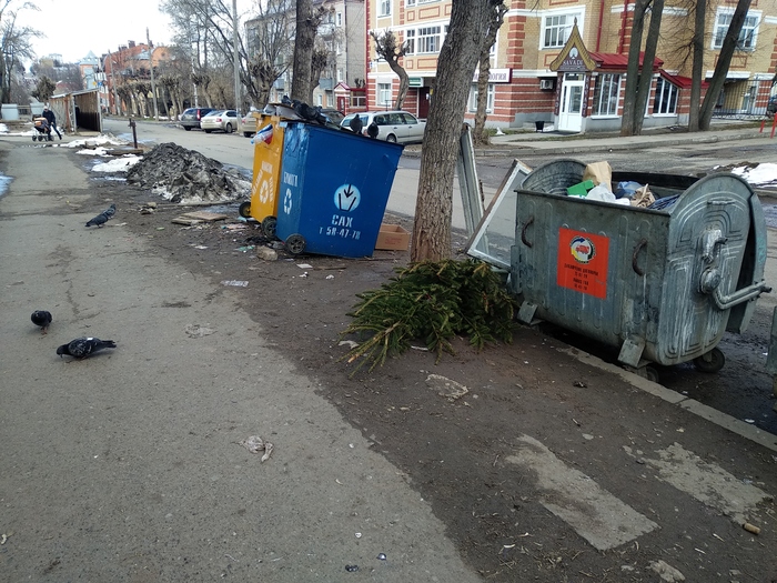 Another gave up - My, Kirov, Christmas trees, Spring