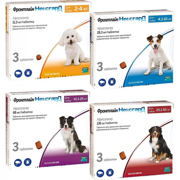 Tick ??tablets for animals - Dog, , Prophylaxis, Longpost