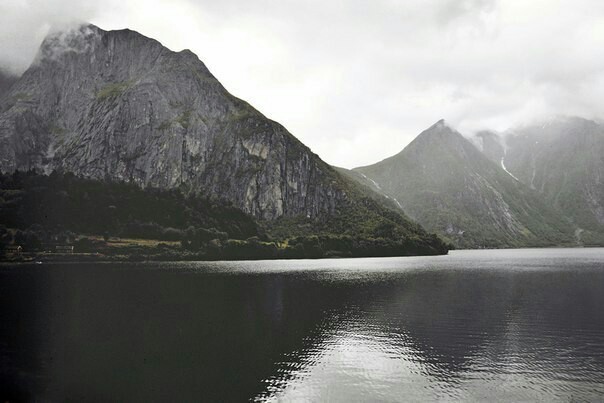 Norway - Norway, Nature, The mountains, Forest, Longpost