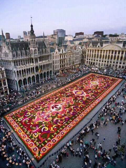 Flower carpet, Brussels - Carpet, Flowers, Belgium, Brussels