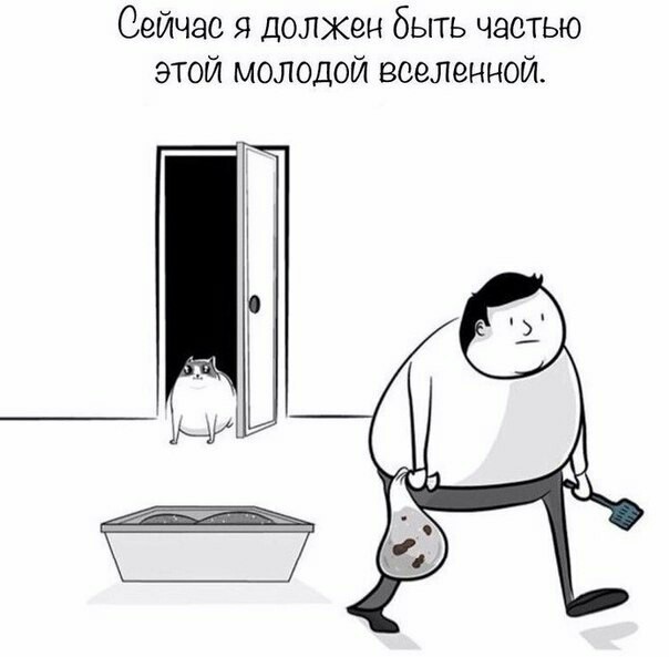 Часть молодой вселенной - Кот, Вселенная, Длиннопост, The Oatmeal, Комиксы