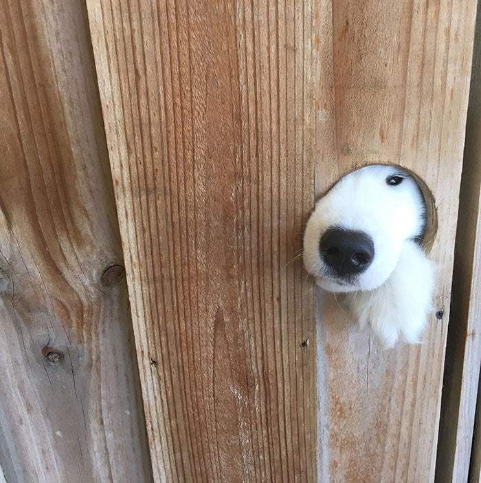   ? ! ,  , 