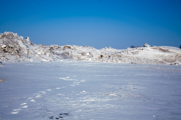 Hummocks of Lake Khanka, Primorsky Krai, Russia. - My, Khanka, Primorsky Krai, Russia, Nature, beauty, Longpost