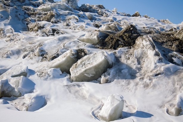 Hummocks of Lake Khanka, Primorsky Krai, Russia. - My, Khanka, Primorsky Krai, Russia, Nature, beauty, Longpost