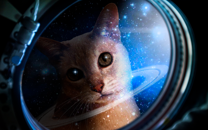 ����������� ����������� ��������