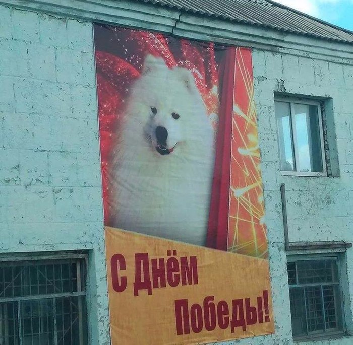 Happy Holidays! - May 9, Dog, May 9 - Victory Day, Happy Holidays, Poster, Congratulation