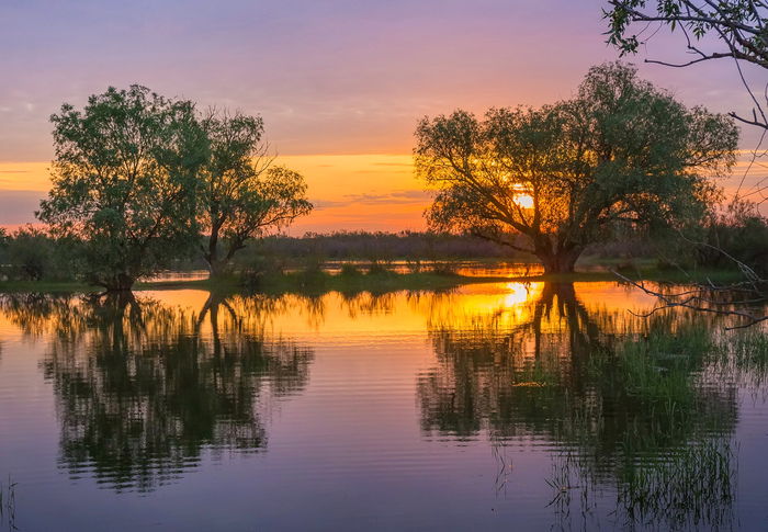 Spring dawns in the flood - The photo, Spring, High water, Volga river, dawn, Flood