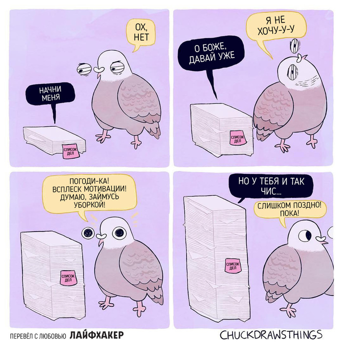 20 dove comics - Comics, Chuckdrawsthings, Life hacker, Pigeon, Longpost