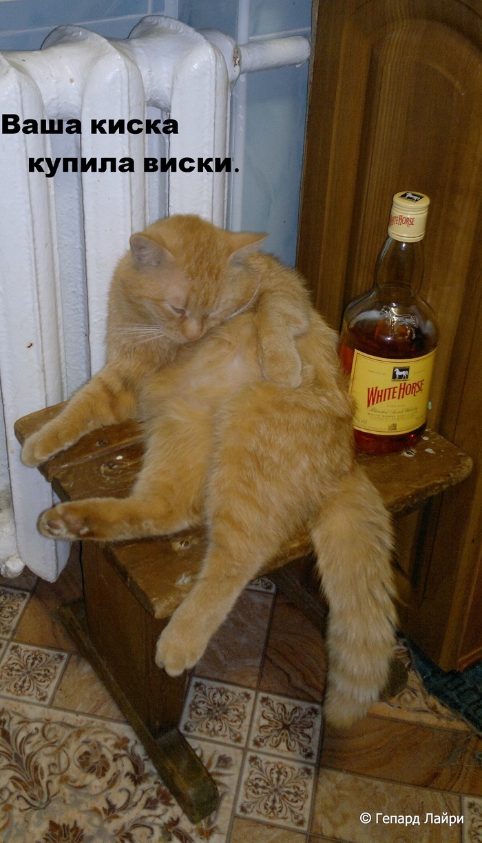 Киски-виски