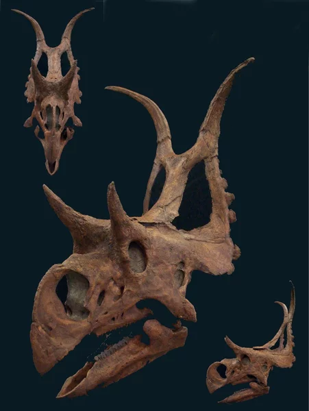 Book of Animals: Diabloceratops - My, Dinosaurs, , Animals, Animal book, Zoology, Paleontology, Longpost