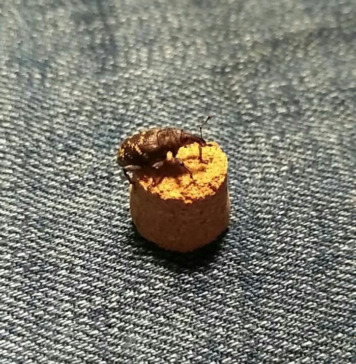   :   ? , ,  , 