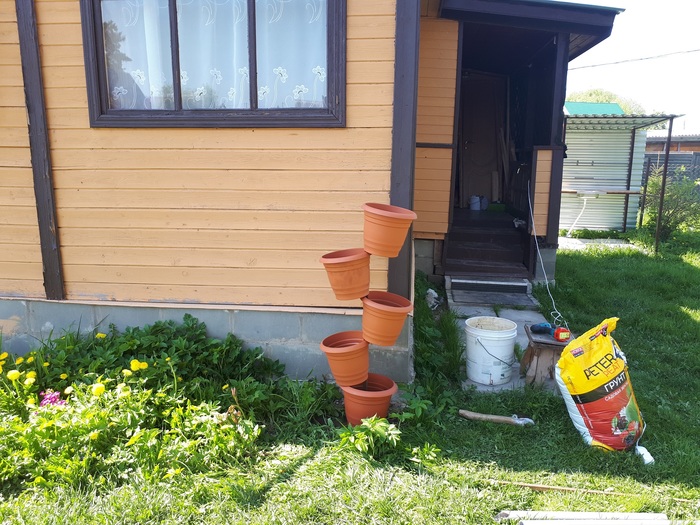 Falling pots for strawberries - My, Strawberry, Dacha, Gardening, Pots, Longpost, Strawberry (plant)