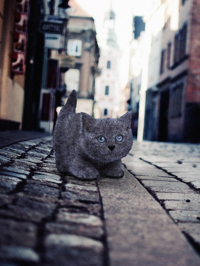 �������� �����