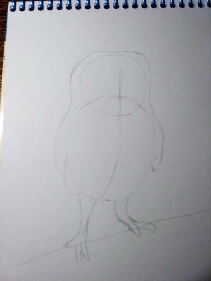 How to draw an owl (my version) - Owl, My, Longpost, Colour pencils, Drawing