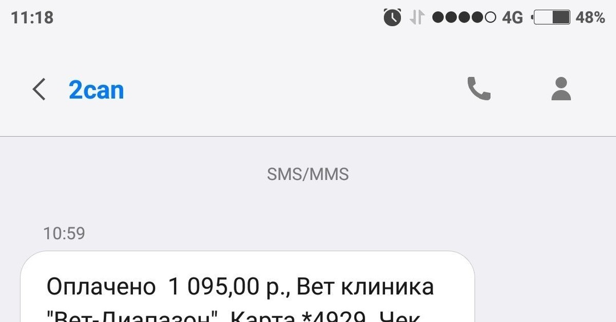 МКБ у кота. | Пикабу