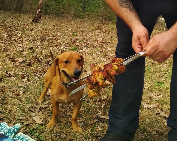 ������� ������� � ������.