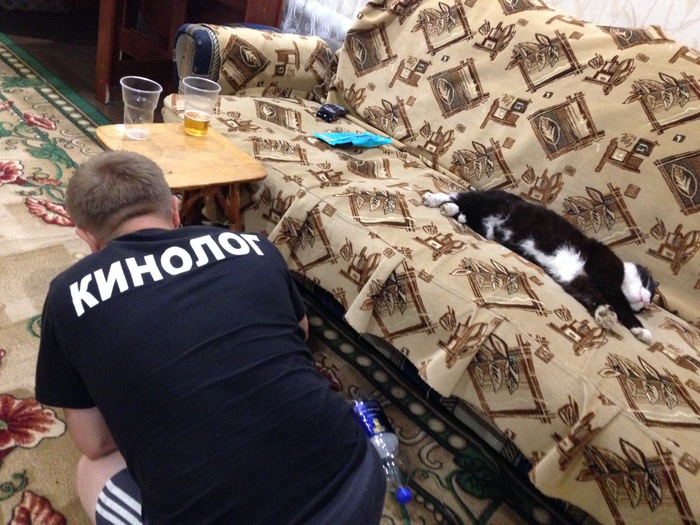 Работа не по специальности