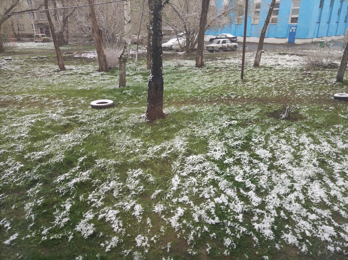 Вот такая весна