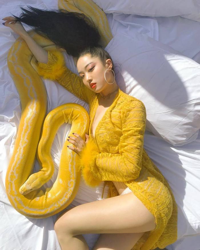 ������ �����