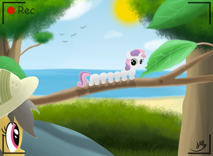   ! My Little Pony, Daring Do, Sweetie Belle