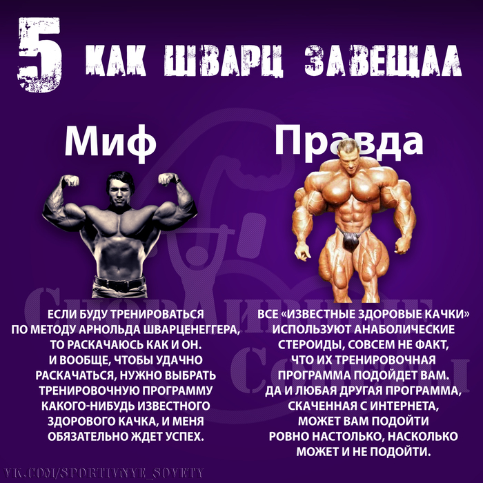 Мифы про тренировки | Пикабу