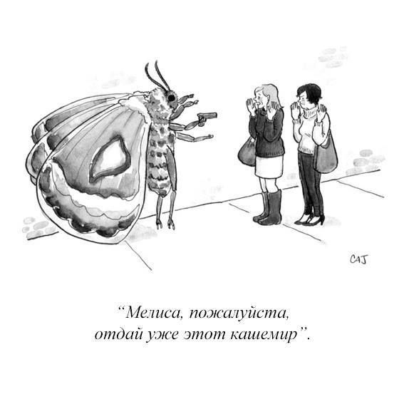 Moth robber - Moth, Cashmere, Robbery, Comics, The new yorker