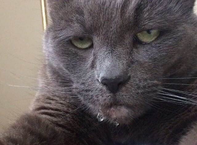 Когда вспомнил, что бубенцов то нет....