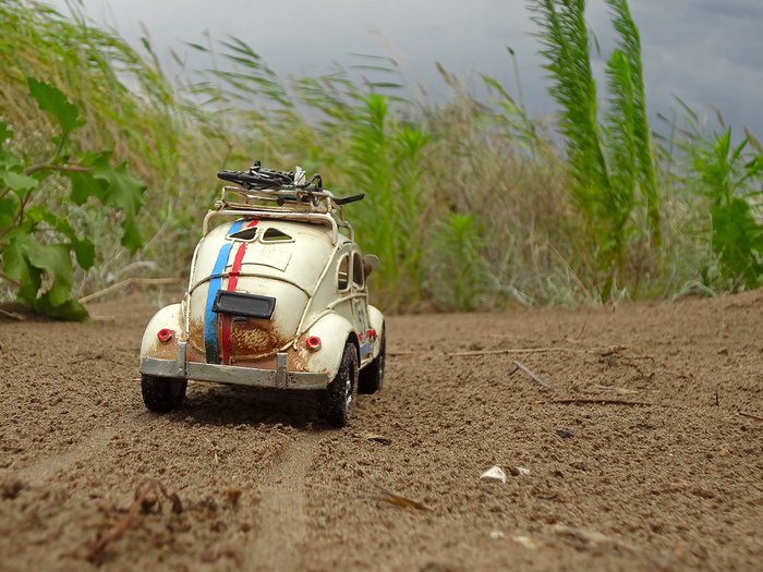 В страну дремучих трав. - Моё, Игрушечная машинка, Volkswagen Beetle, Фото на тапок