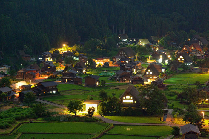 A tree from a fairy tale. Shirakawa. Japan - Japan, Shirakawa, Village, The photo