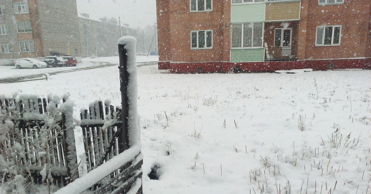 В крае выпал снег. Снегопад в Сибири. Снег в Лесосибирске. В Томске выпал снег. Снег летом в Сибири.
