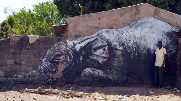 African graffiti: how graffiti is saving the Gambia - My, Tourism, Туристы, Africa, Travels, Gambia, Graffiti, Longpost